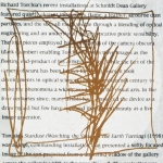 <i>Torchia</i>, archival inkjet print, 6 x 6 inches, 2001