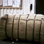 Various materials produced and collected by <i>The First World Brain Bank</i>, 1972-73 (with Stan Sharshal)