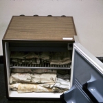 Various materials produced and collected by <i>The First World Brain Bank</i>, 1972-73 (with Stan Sharshal)