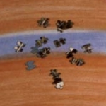 <i>Factories and Roses</i>, installation view, drawings, objects, lighting fixtures, audio, variable dimensions, Berry College, Mt. Berry, GA, 1978