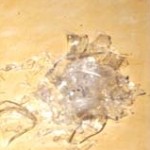 <i>Factories and Roses</i>, installation view, drawings, objects, lighting fixtures, audio, variable dimensions, Berry College, Mt. Berry, GA, 1978