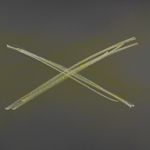 Projection Composites from <i>Hard Felt</i>, installation/performance presented 11/11/77, Peachtree "Strip," Atlanta GA