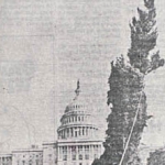 <i>Would have/ Would not have</i>, various sized photographs from newspapers mounted on 8 x 10 inch Arches paper, 1974