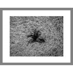 Detail <i>IP_001</i>, 9.25 x 12.25 inches (element is scaled in this image to indicate its size in relationship to other elements of the piece).