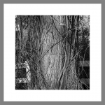 Detail <i>IP_004</i>, 12.25 x 12.25 inches (element is scaled in this image to indicate its size in relationship to other elements of the piece).