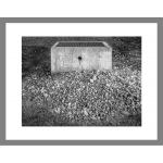 Detail <i>IP_005</i>, 9.25 x 12.25 inches (element is scaled in this image to indicate its size in relationship to other elements of the piece).