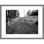 Detail <i>IP_008</i>, 9.25 x 12.25 inches (element is scaled in this image to indicate its size in relationship to other elements of the piece).