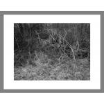 Detail <i>IP_009</i>, 9.25 x 12.25 inches (element is scaled in this image to indicate its size in relationship to other elements of the piece).