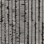 <i>Trace: Line segments cut and torn</i>, 12 x 19 inches, correction tape and flat spray enamel on rag paper, 2002