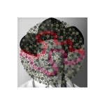 <i>Clint Walker / Ishihara 26 (Unlettered)</i>, pigmented ink on glossy paper with UV laminate, 18 x 18 inches, 2013