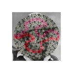 <i>Dan Blocker / Ishihara 27  (Unlettered)</i>, pigmented ink on glossy paper with UV laminate, 18 x 18 inches, 2013