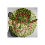 <i>Chuck Connors / Ishihara 36  (Unlettered)</i>, pigmented ink on glossy paper with UV laminate, 18 x 18 inches, 2013