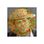 <i>Michael Landon / Ishihara 29  (Unlettered)</i>, pigmented ink on glossy paper with UV laminate, 18 x 18 inches, 2013